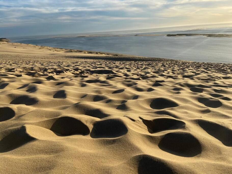 Villa Arcachon 12 Pers Avec Piscine Chauffee 1 Mai Au 30 Sept ภายนอก รูปภาพ